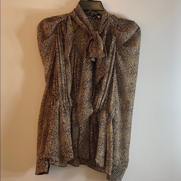 Zara leopard sheer blouse. Xs - Picture 3 of 9